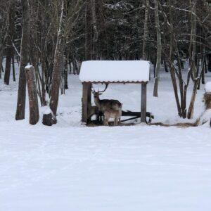 2b2eaef5-1eff-4850-9399-41608ca6e318 (1)