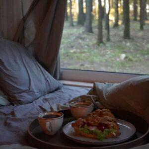 462550659_598404015900456_8214994013579466581_n (1)