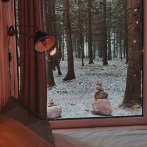 462560182_559858713683735_569358996689516541_n (1)