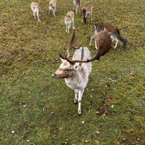 462646567_603418062202803_7807524411049677496_n