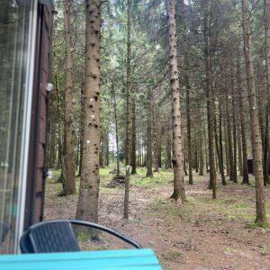 466742076_4016408228636235_8936603544518156745_n